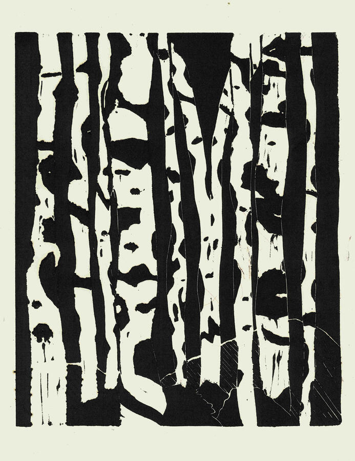 A linocut print in black-and-white displaying several birch trees with their bark peeling, revealing the white underbark layer.