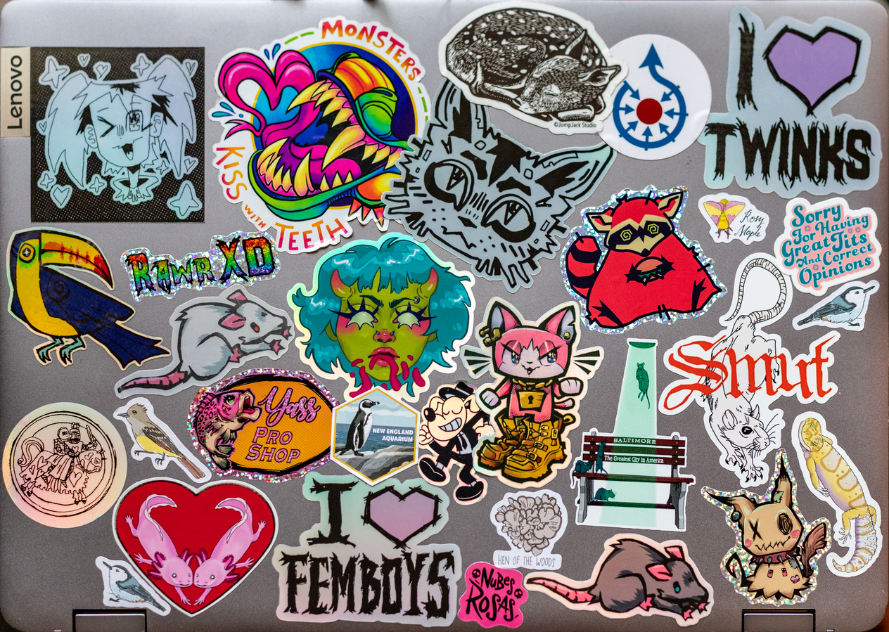My laptop's case